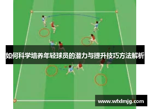如何科学培养年轻球员的潜力与提升技巧方法解析