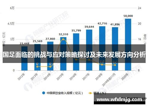 国足面临的挑战与应对策略探讨及未来发展方向分析