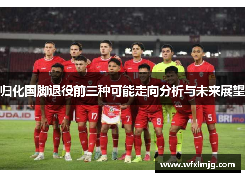 归化国脚退役前三种可能走向分析与未来展望