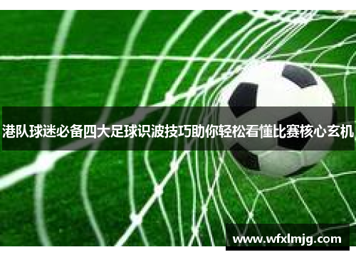港队球迷必备四大足球识波技巧助你轻松看懂比赛核心玄机
